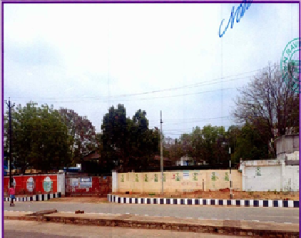 Ravi structurals